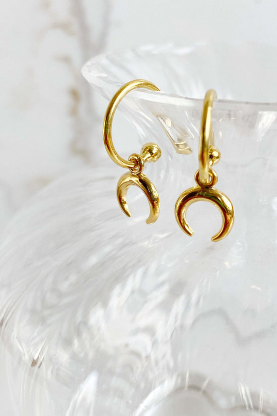 Mini Crescent Hooped Stud earrings hanging over rim of glass vessel
